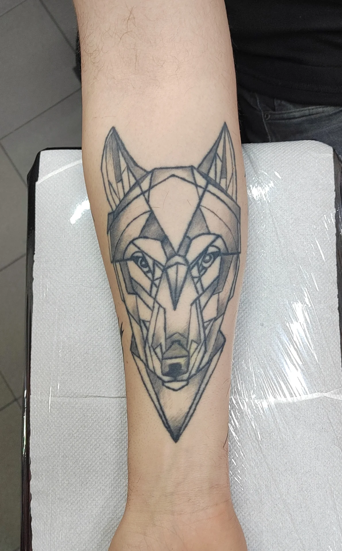Původní stav